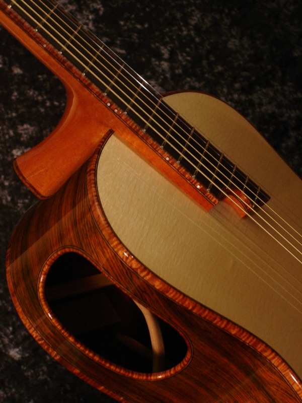 The Elevated Fingerboard Guitar Design The Art Of Lutherie