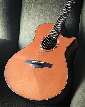 James Orr Guitar 300
