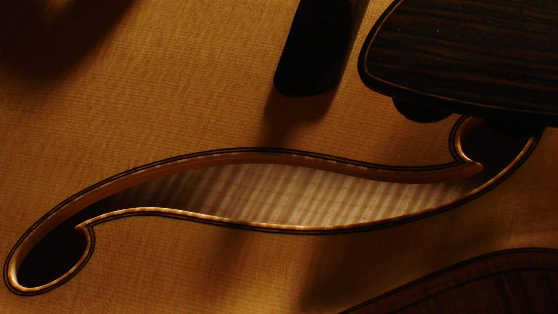 Should You Seal The Inside Of Your Guitar The Art Of Lutherie