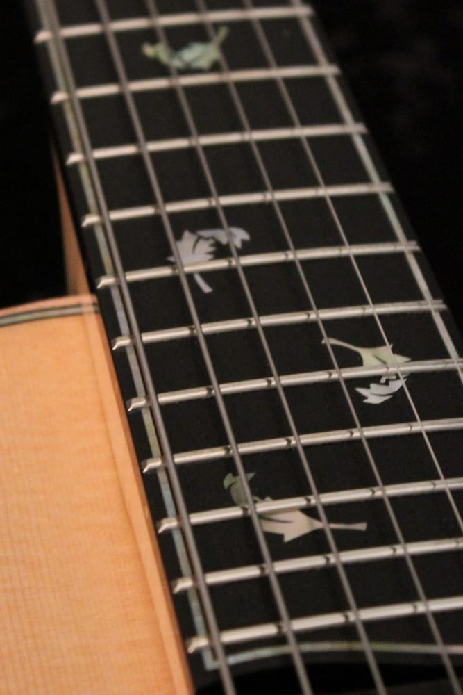 Frets for deals guitar