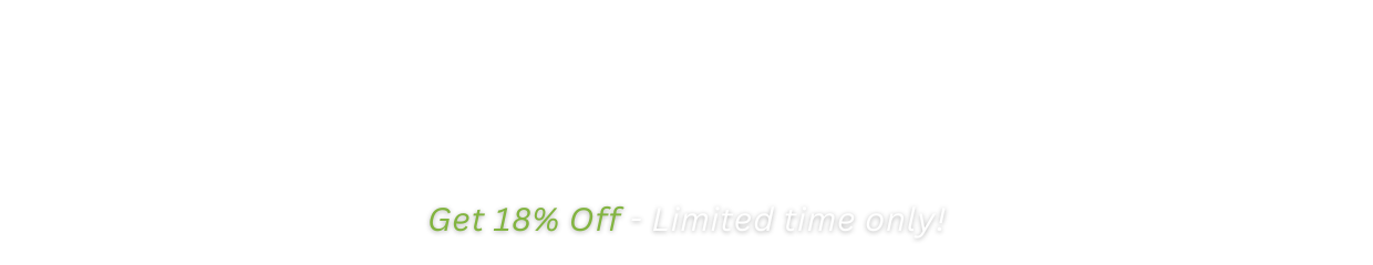 2025 Holiday Sale no bg