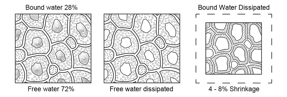 Wood Cells — Free and Bound Water corrected spelling Oct 2026